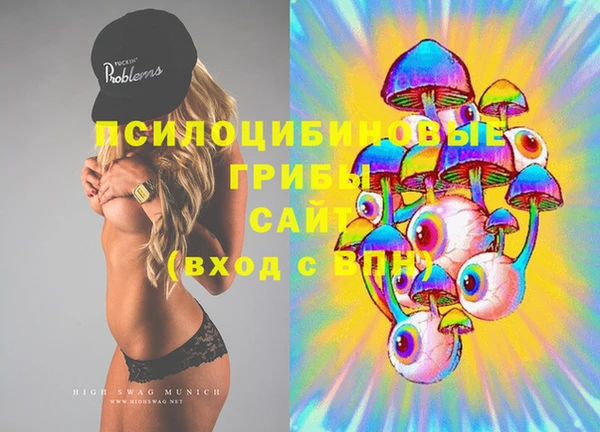 шишки Нефтекумск