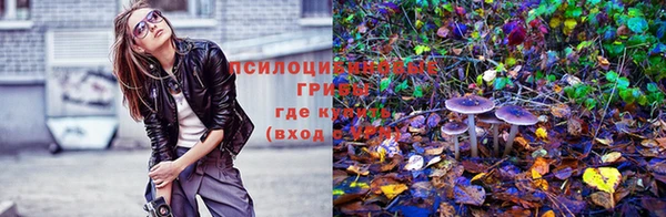 шишки Нефтекумск