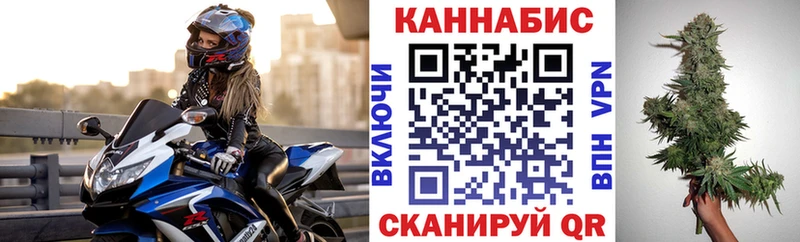 цены наркотик  Подпорожье  Шишки марихуана сатива 
